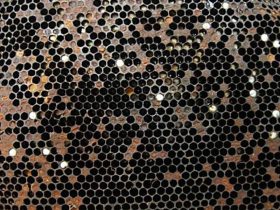 apisantos epragas loqueeuropeia