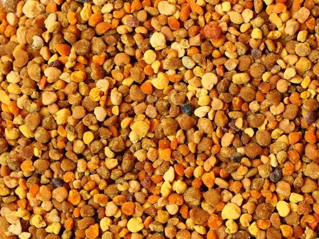 apisantos-truques-polen Polen