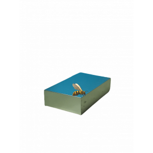 Telhado nucleo lusitana